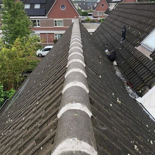 Den Bosch Dakinspectie Den Bosch aan de nokvorsten Dakinspectie Den Bosch aan de nokvorsten
